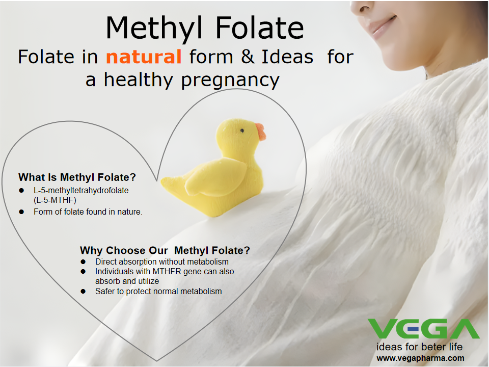 Vega New Products-Food Grade-Methyl Folate.png